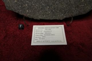 NWA 7654 Large Full Slice Chondrite (L5) - - 492 grams 5