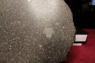 NWA 7654 Large Full Slice Chondrite (L5) - - 492 grams 6