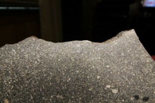 NWA 7654 Large Full Slice Chondrite (L5) - - 492 grams 7