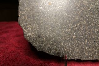 NWA 7654 Large Full Slice Chondrite (L5) - - 492 grams 8