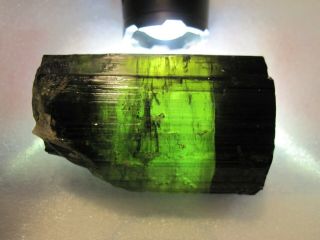 Green Tourmaline Crystal 407.  6g (himalaya Mine Ca) Look