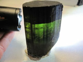Green Tourmaline Crystal 407.  6g (himalaya mine CA) LOOK 2