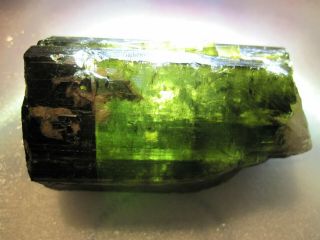 Green Tourmaline Crystal 407.  6g (himalaya mine CA) LOOK 4