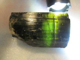 Green Tourmaline Crystal 407.  6g (himalaya mine CA) LOOK 9