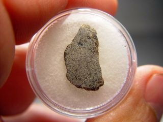 Nwa 2986 Martian Shergottite Meteorite With Crust.  623 Gms