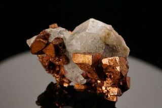 EXTRAORDINARY Cubic Native Copper & Analcime Crystal PHOENIX MINE,  MICHIGAN 10