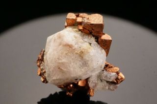 EXTRAORDINARY Cubic Native Copper & Analcime Crystal PHOENIX MINE,  MICHIGAN 11