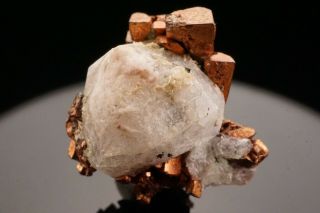 EXTRAORDINARY Cubic Native Copper & Analcime Crystal PHOENIX MINE,  MICHIGAN 12