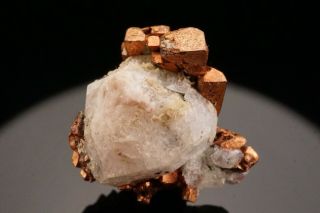 Extraordinary Cubic Native Copper & Analcime Crystal Phoenix Mine,  Michigan