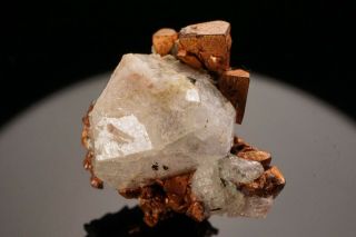 EXTRAORDINARY Cubic Native Copper & Analcime Crystal PHOENIX MINE,  MICHIGAN 3