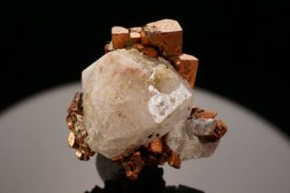 EXTRAORDINARY Cubic Native Copper & Analcime Crystal PHOENIX MINE,  MICHIGAN 4
