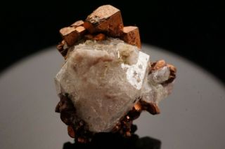 EXTRAORDINARY Cubic Native Copper & Analcime Crystal PHOENIX MINE,  MICHIGAN 5