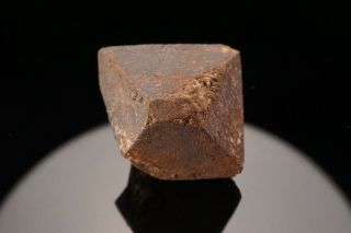 RARE OLD Hauerite Crystal Group RADDUSA,  ITALY - Ex.  English 5