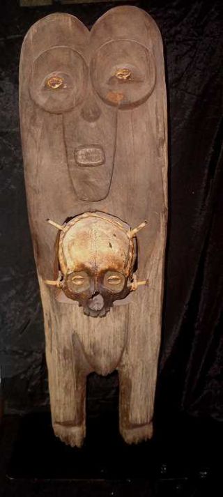 Stunning Life Size Dayak Wood Tribal Head Hunted Human Skull Shaman Board Resin