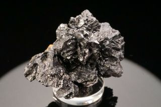 EXTRAORDINARY Stephanite Crystal Cluster NIEDERSCHLEMA,  GERMANY - Ex.  Obodda 12