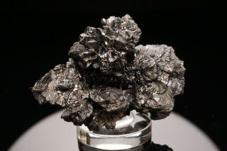Extraordinary Stephanite Crystal Cluster Niederschlema,  Germany - Ex.  Obodda