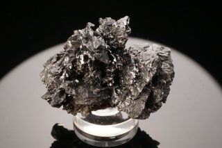 EXTRAORDINARY Stephanite Crystal Cluster NIEDERSCHLEMA,  GERMANY - Ex.  Obodda 2