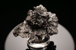 EXTRAORDINARY Stephanite Crystal Cluster NIEDERSCHLEMA,  GERMANY - Ex.  Obodda 5