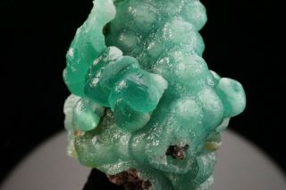 CLASSIC Blue Smithsonite Crystal SANTA ANITA MINE,  MEXICO 7
