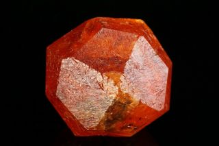 EXTRAORDINARY Orange Spessartine Garnet Crystal LOLIONDO,  TANZANIA 11