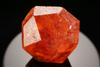 EXTRAORDINARY Orange Spessartine Garnet Crystal LOLIONDO,  TANZANIA 2