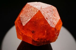 EXTRAORDINARY Orange Spessartine Garnet Crystal LOLIONDO,  TANZANIA 3