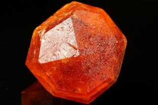 EXTRAORDINARY Orange Spessartine Garnet Crystal LOLIONDO,  TANZANIA 4