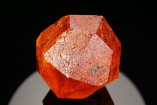 EXTRAORDINARY Orange Spessartine Garnet Crystal LOLIONDO,  TANZANIA 5
