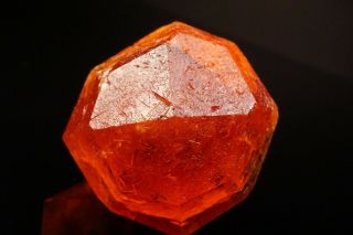 EXTRAORDINARY Orange Spessartine Garnet Crystal LOLIONDO,  TANZANIA 8