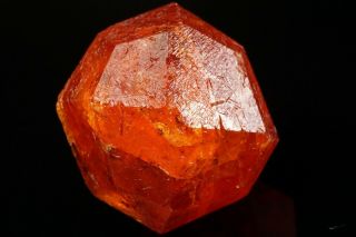 EXTRAORDINARY Orange Spessartine Garnet Crystal LOLIONDO,  TANZANIA 9