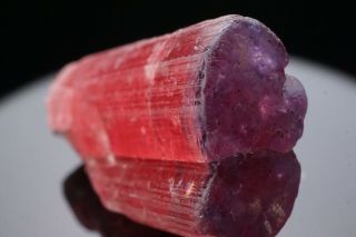 UNIQUE Purple Cap Tourmaline Crystal HIMALAYA MINE,  CALIFORNIA 4