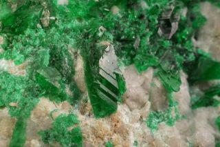 EXTRAORDINARY Natrochalcite Crystal Cluster CHUQUICAMATA MINE,  CHILE 2
