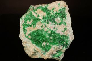 EXTRAORDINARY Natrochalcite Crystal Cluster CHUQUICAMATA MINE,  CHILE 3