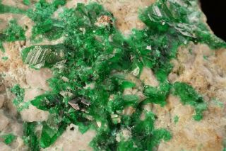 EXTRAORDINARY Natrochalcite Crystal Cluster CHUQUICAMATA MINE,  CHILE 6