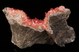 AESTHETIC Rhodochrosite Crystal Cluster UCHUCCHACUA MINE,  PERU - Ex.  Logan 10