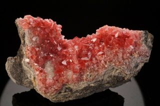 AESTHETIC Rhodochrosite Crystal Cluster UCHUCCHACUA MINE,  PERU - Ex.  Logan 12