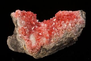 AESTHETIC Rhodochrosite Crystal Cluster UCHUCCHACUA MINE,  PERU - Ex.  Logan 2
