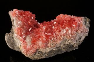 AESTHETIC Rhodochrosite Crystal Cluster UCHUCCHACUA MINE,  PERU - Ex.  Logan 4