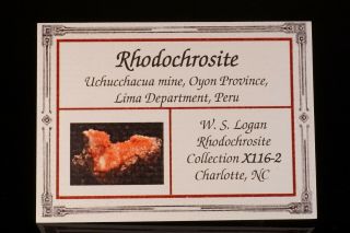 AESTHETIC Rhodochrosite Crystal Cluster UCHUCCHACUA MINE,  PERU - Ex.  Logan 5