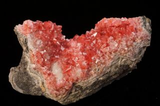 AESTHETIC Rhodochrosite Crystal Cluster UCHUCCHACUA MINE,  PERU - Ex.  Logan 6