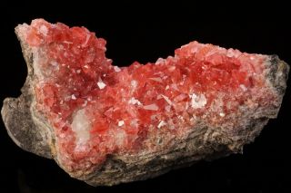 AESTHETIC Rhodochrosite Crystal Cluster UCHUCCHACUA MINE,  PERU - Ex.  Logan 8