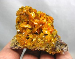 Wulfenite & Mimetite,  San Francisco Mine,  Sonora,  Mexico