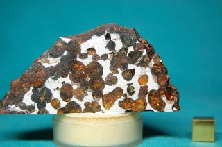 Sericho Pallasite meteorite 195.  3 grams 2