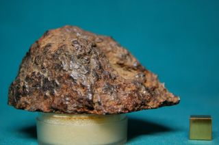 Sericho Pallasite meteorite 195.  3 grams 3