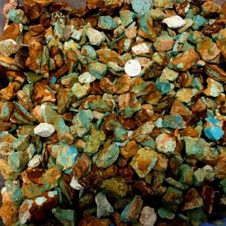 Turquoise Rough Old Silversmiths Stash 1/4 Pound Usa - Natural Royston