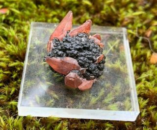 Rhodochrosite from Uchucchacua Mine,  Peru fine thumbnail mineral specimen 2