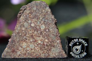 NWA 8366 (b) LL3 Primitive Chondrite Meteorite 5.  6 gram part slice 2