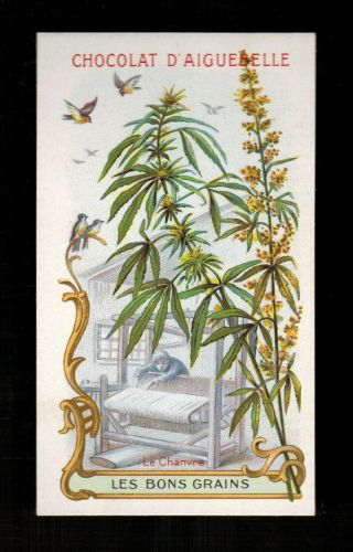 Three (3) Marijuana 1900 Chromo Lithographed Trade Cards Cannabis