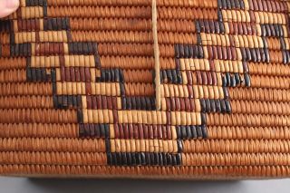 Antique Western Salish Native American Indian Covered Basket & Rawhide Straps 5