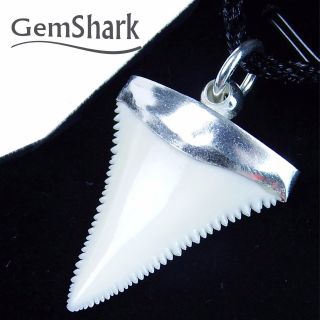 1.  2  Modern Great White Shark Tooth Necklace For Men Silver Cap Gn30mm